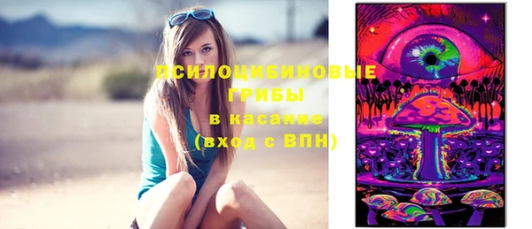 apvp Магас